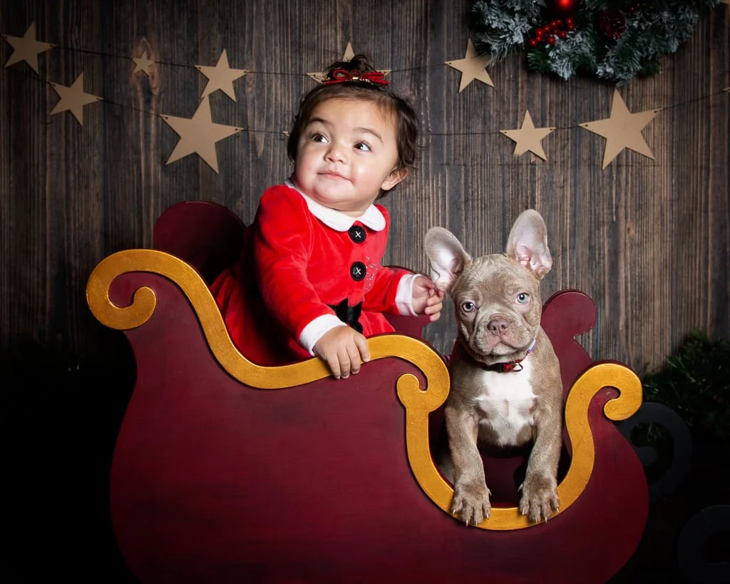 Christmas Photo Shoot Event West Sussex Christmas Photo Shoot in West Sussex Studio