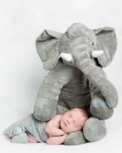 Newborn Photography East Grinstead West Sussex Newborn Photography East Grinstead West Sussex