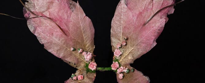 Fairy Photo Shoots Crawley Down East Grinstead Sussex