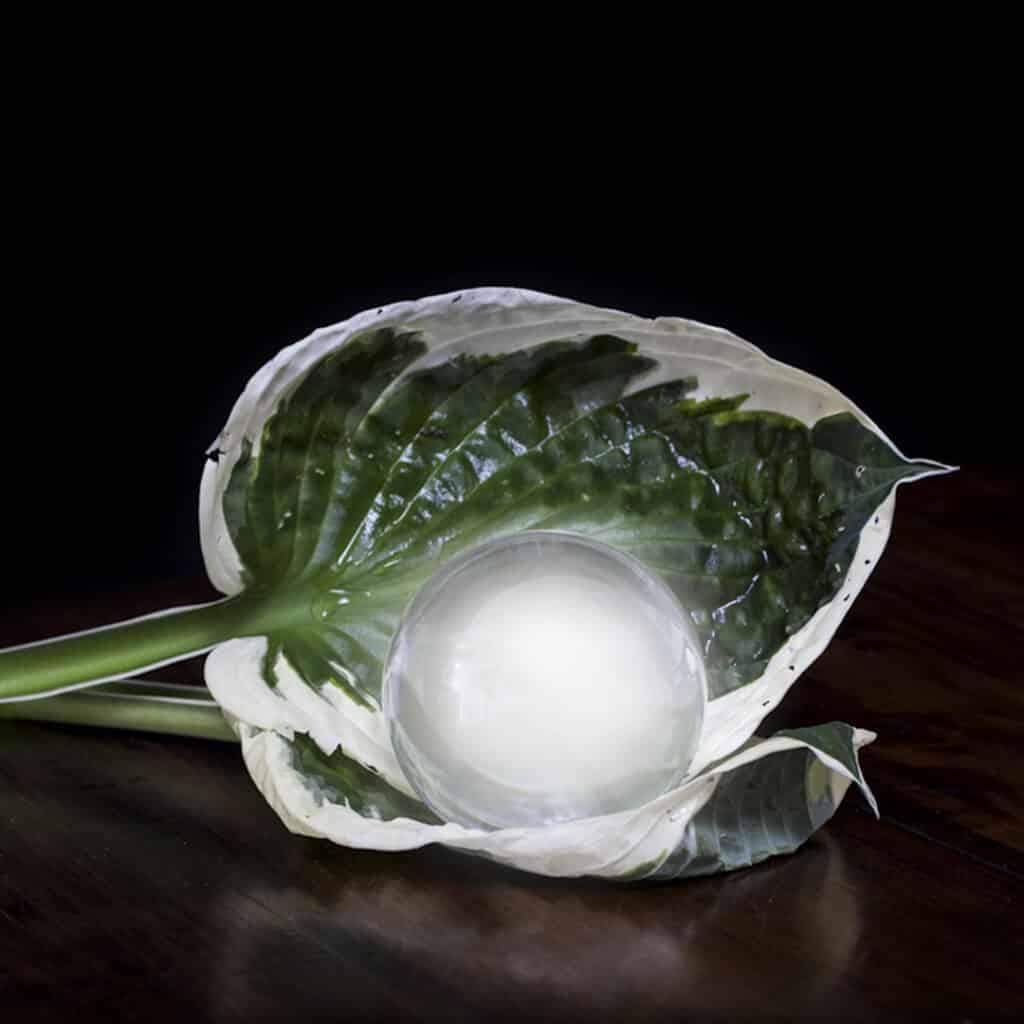 Fairy Photo Shoots Crawley Down East Grinstead Sussex a glowing crystal ball photographed in a leaf