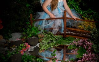 Fairy Photo Shoots Crawley Down East Grinstead Sussex