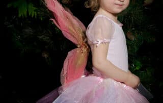 Fairy Photo Shoots Crawley Down East Grinstead Sussex