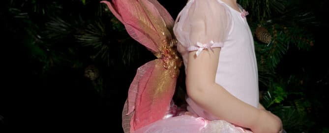 Fairy Photo Shoots Crawley Down East Grinstead Sussex