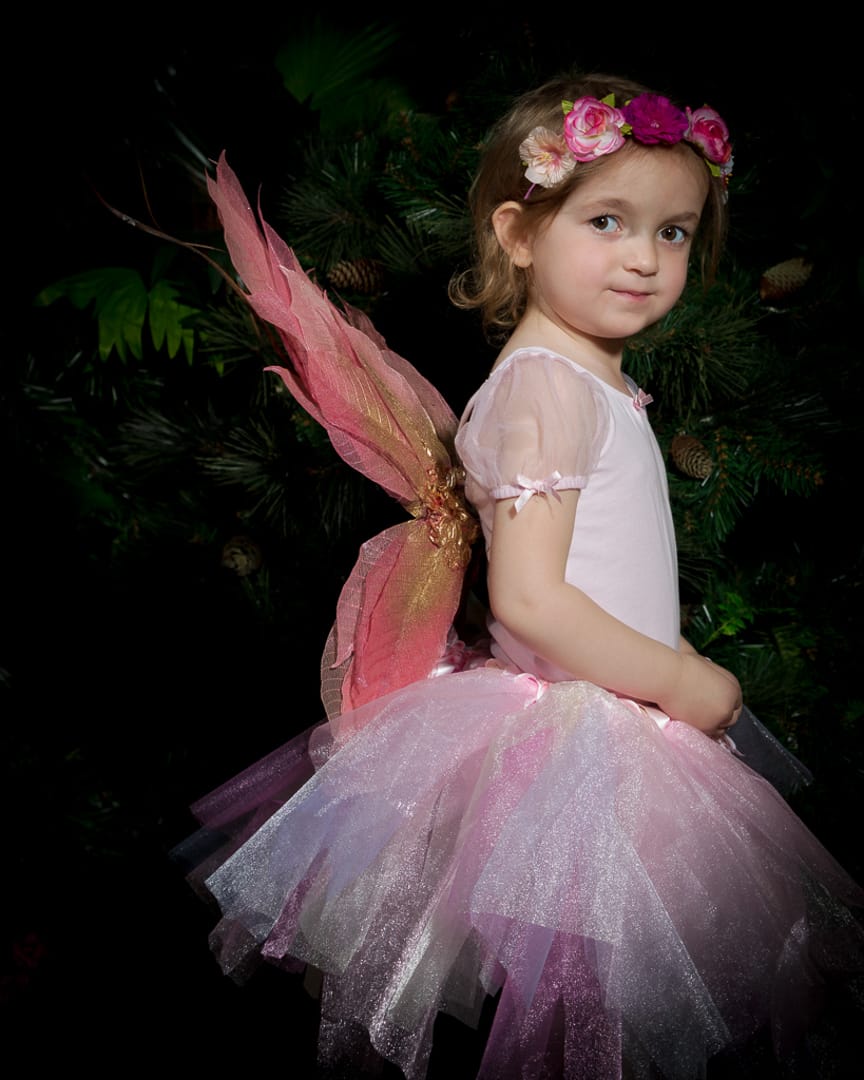 Fairy Photo Shoots Crawley Down East Grinstead Sussex