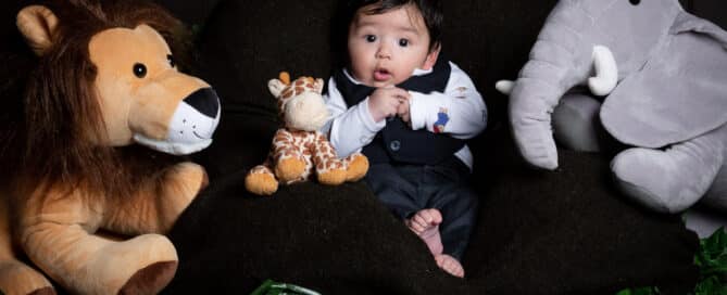 a little boy sits with some jungle themed soft toys at a professional photo shoot