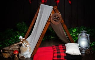 Studio Digital Backdrop West Sussex