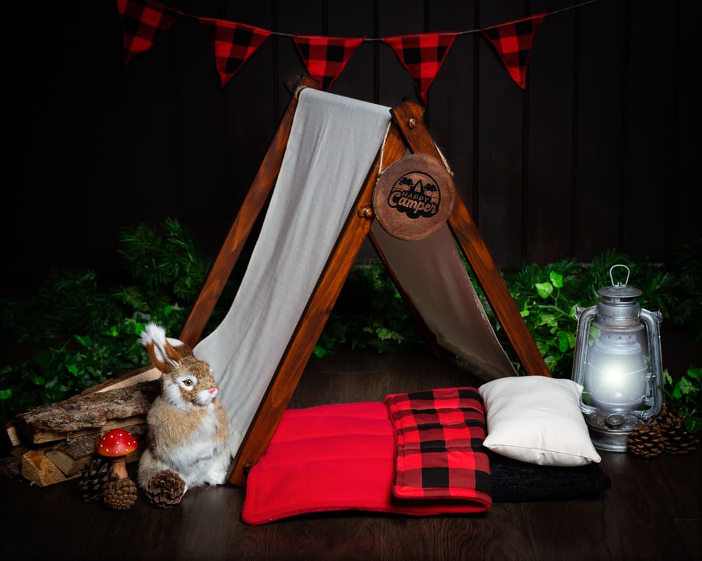 Studio Digital Backdrop West Sussex