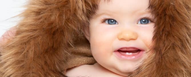 a little girl in a lion costume at a baby photo shoot