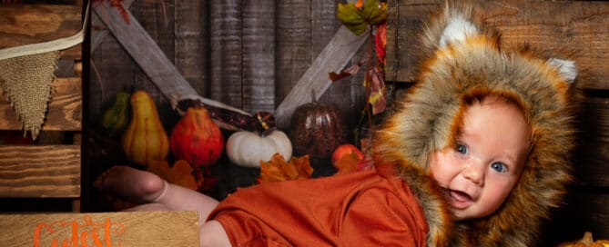 a little boy dressed as a fox in a pumpkin themed phot o shoot set