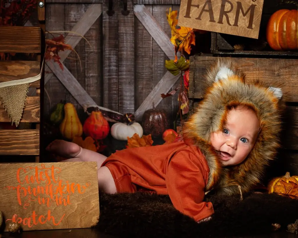 a little boy dressed as a fox in a pumpkin themed phot o shoot set