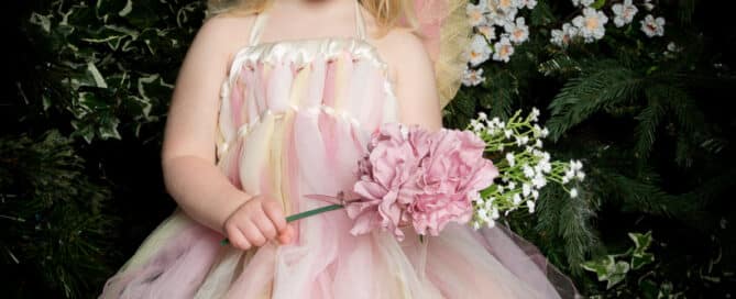 Fairy Photo Shoots Crawley Down East Grinstead Sussex