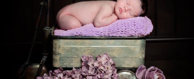 a newborn sleeping on a vintage trolley and lilac flowers