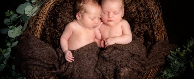Newborn twins are tucked up together in a nest wrapped in a brown blanket