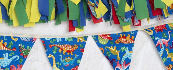 Studio Photography Bunting Options West Sussex
