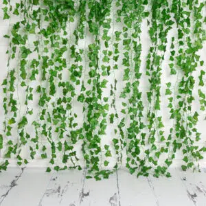 Ivy Studio Backdrop