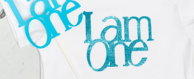 Cake Topper and Vest Set