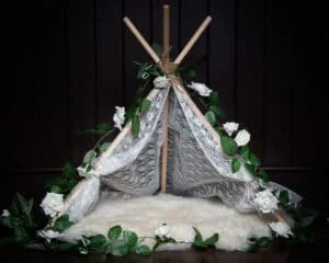 lace tent newborn prop