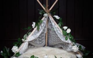 lace tent newborn prop