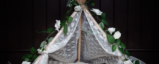 lace tent newborn prop