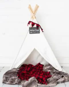 born to be wild teepee prop set