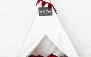 born to be wild teepee prop set