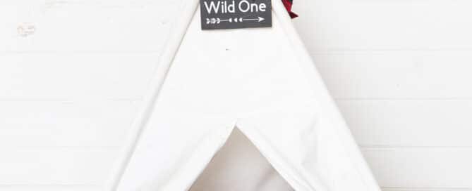 born to be wild teepee prop set
