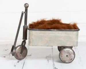 rustic vintage trolley prop