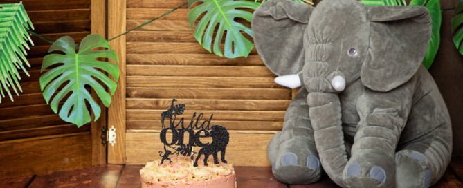 Cake Smash Photography East Grinstead West Sussex