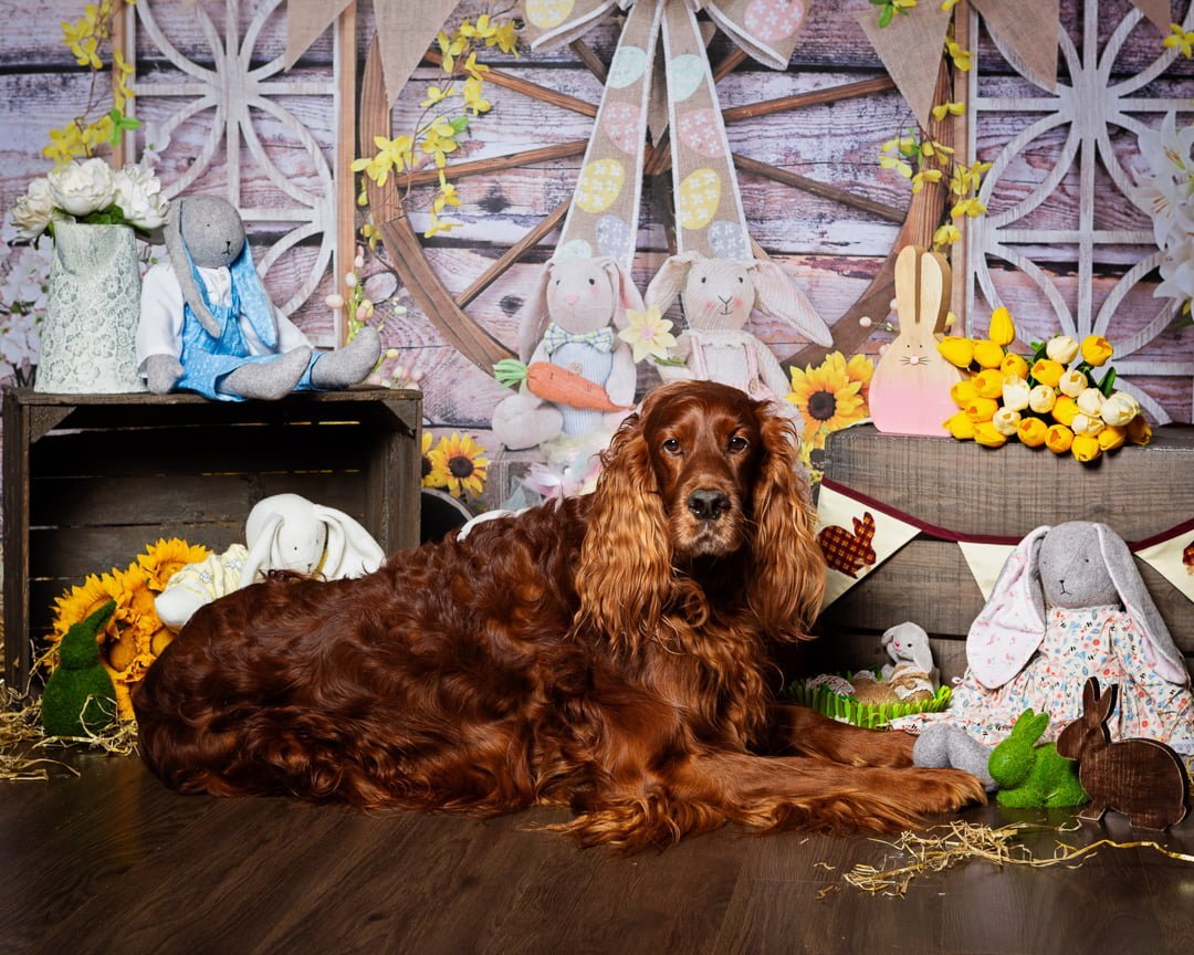 Easter Photo Shoots West Sussex 2022