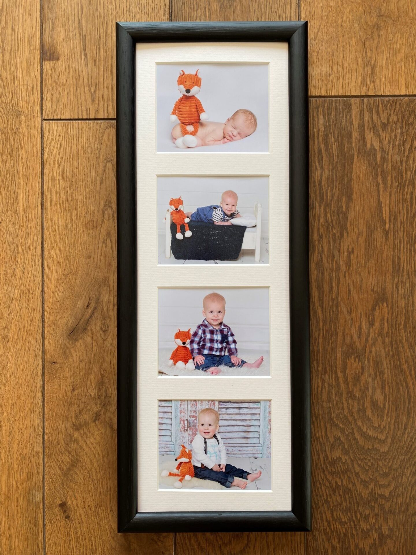 Joey Club Frame Sarah Fisher Photography West Sussex with a fox theme