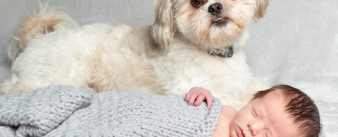 anewborn and a terrier