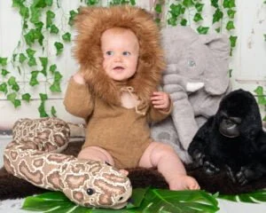 a little boy in a lion outfit with jungle themed props and toys