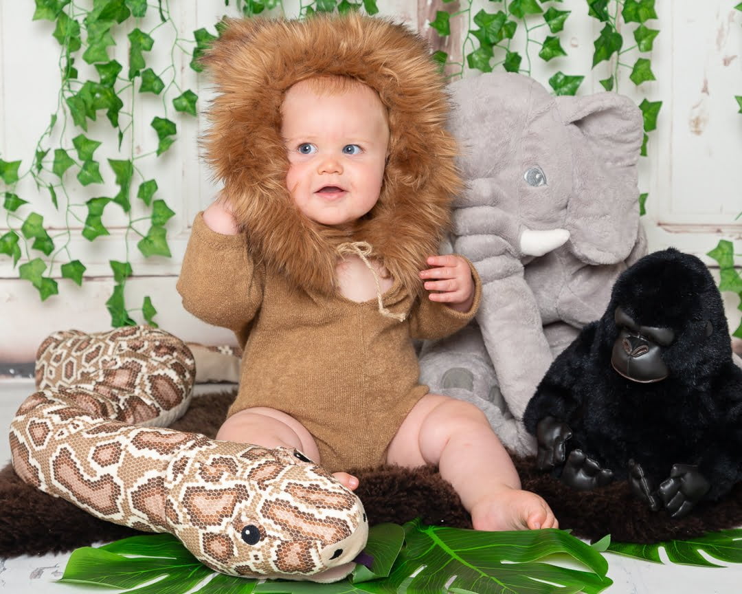 a little boy in a lion outfit with jungle themed props and toys