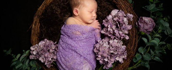 A newborn sleeps wrapped in lilac in a nest of purple flowers