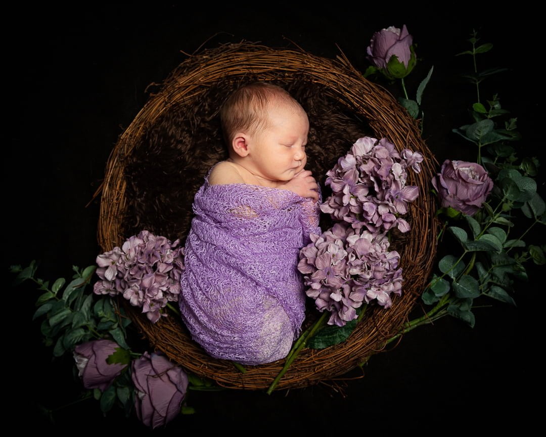 A newborn sleeps wrapped in lilac in a nest of purple flowers
