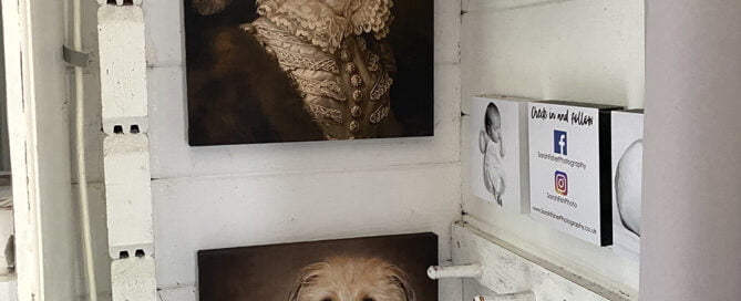 dog artwork on my west sussex studio walls