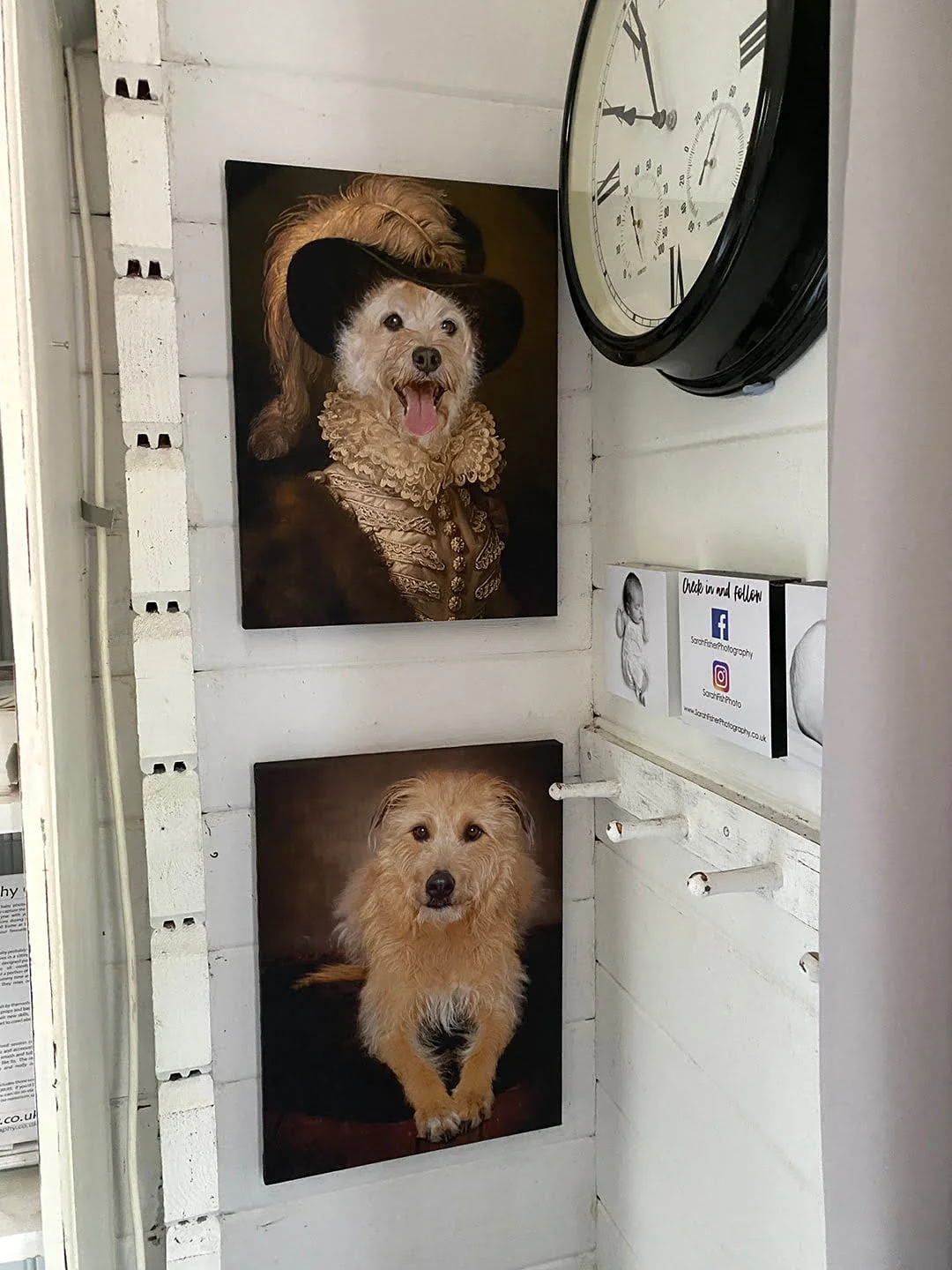 dog artwork on my west sussex studio walls