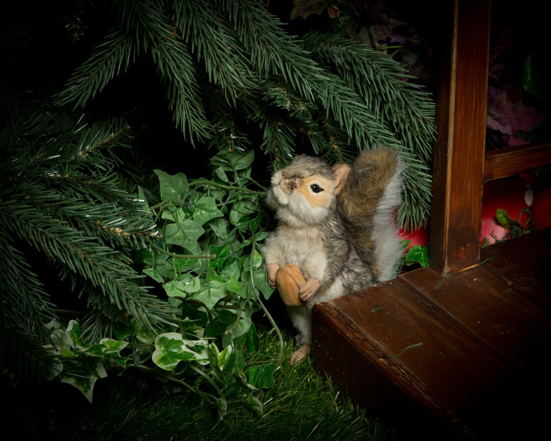 Fairy Photo Shoots Crawley Down East Grinstead Sussex