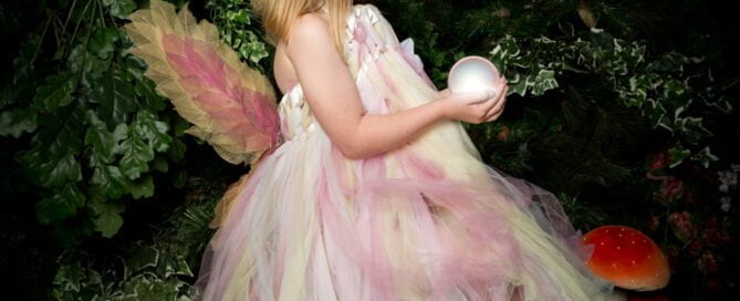 Fairy Photo Shoots Crawley Down East Grinstead Sussex