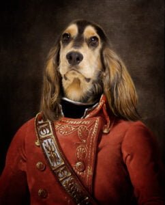 a historical portrait of a cocker spaniel as a soldier