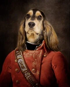 a historical portrait of a cocker spaniel as a soldier