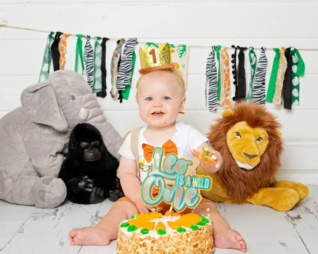 a Jungle themed cake smash photo shoot with studio props