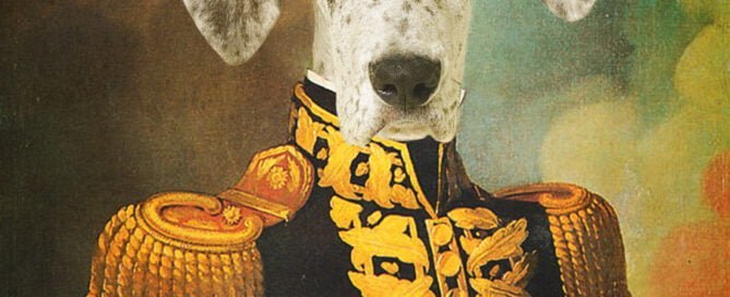a great dane puppy in a digital historical dog portrait