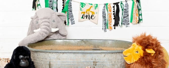 Jungle Themed Studio Prop Sets