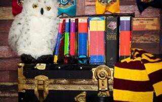 Harry Potter styled accessory set