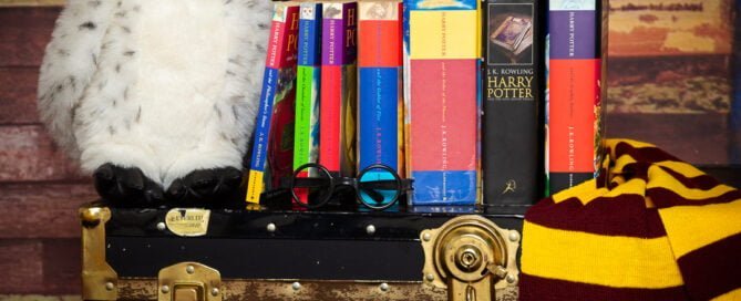 Harry Potter styled accessory set