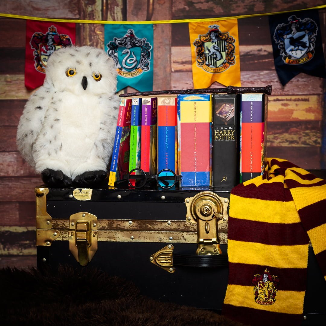 Harry Potter styled accessory set