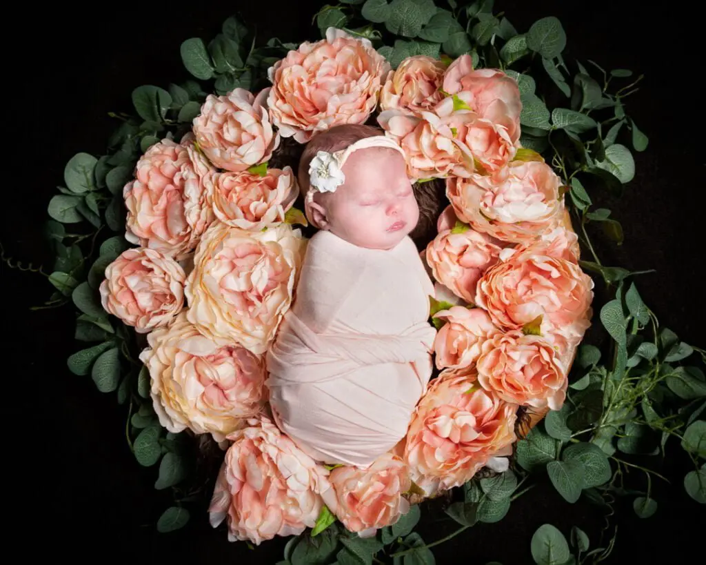 Newborn Photography East Grinstead West Sussex a newborn in a nest surrounded by peach peonies