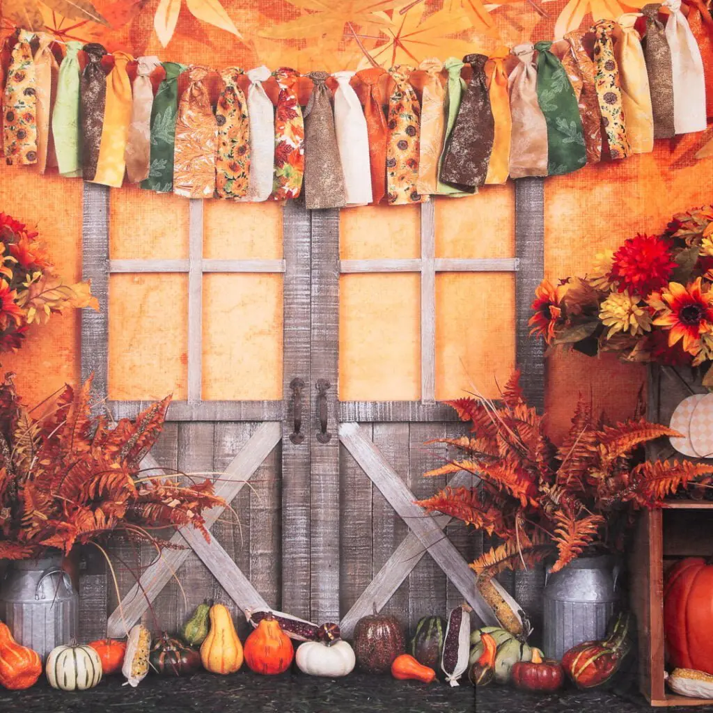 Pumpkin Studio Backdrop