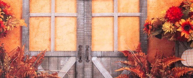 Pumpkin Studio Backdrop